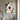 Abstract Geometric Oil Painting in Multicolor Texture with Color Blocks