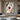 Abstract Geometric Oil Painting in Multicolor Texture with Color Blocks