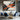 Abstract Acrylic Painting in Orange Black and White with Energetic Brushstrokes