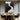 Abstract Black And White Textured Canvas With Flowing Palette Knife Lines