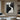 Abstract Black And White Textured Canvas With Flowing Palette Knife Lines