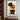 Minimalist Abstract Botanical Art Still Essence in Orange and Black