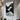 Abstract oil painting with wave-like flowing white lines over black background