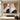 Set of 2 Abstract Brown and Black Minimalist Line Art Paintings