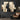 Set of 2 Abstract Oil Paintings in Beige Black and Gold