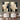 Set of 2 Abstract Oil Paintings in Beige Black and Gold