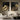 Set of 2 Black and Gold Abstract Wave Paintings on Canvas
